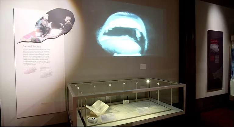 A display in the Hearing Voices exhibition