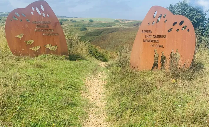 Environmental Histories and Futures of the North East