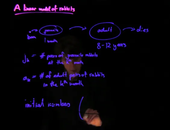 A professor writing on a learning glass2