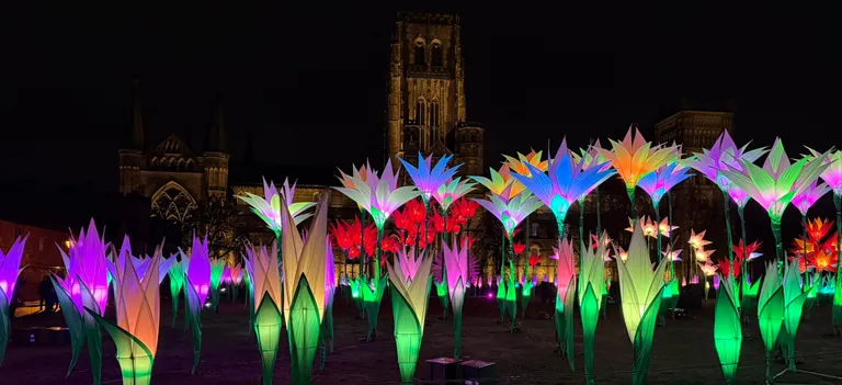 An array of giant, light-up flowers in a variety of colours, with Durham Cathedral and the night sky in the background.