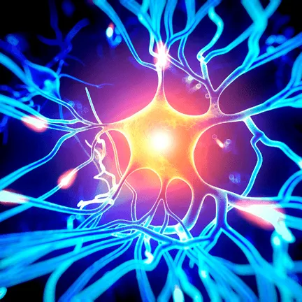An illustration of a neuron