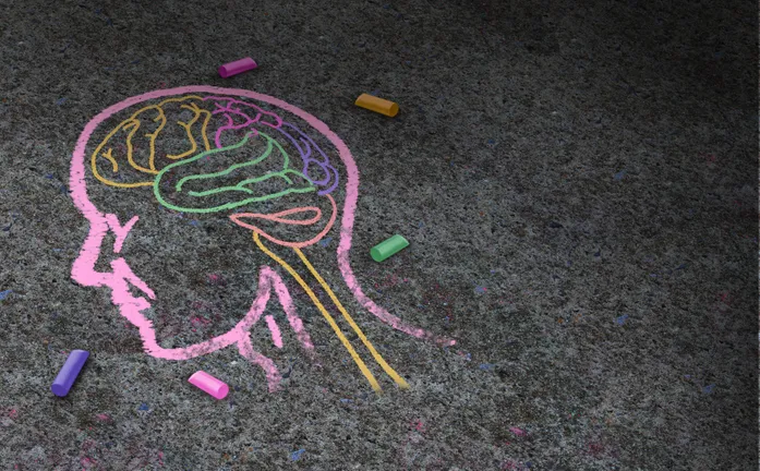 A colourful chalk drawing of the human head and brain.