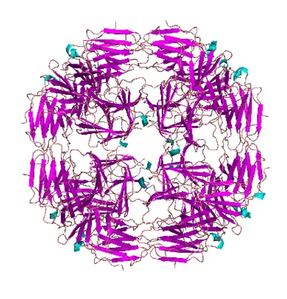 Round image EP RAQ - Placeholder