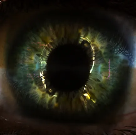 The artwork I was projected onto the Bill Bryson Library as part of Lumiere 2013.