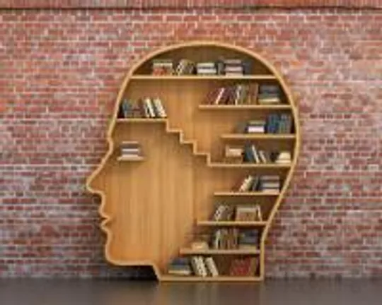 Book case shaped like a head