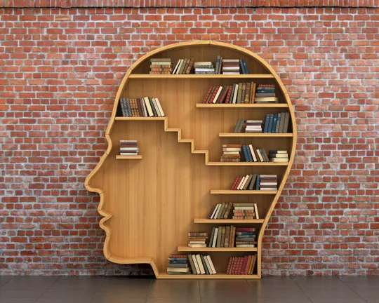 A bookcase shaped like a human head