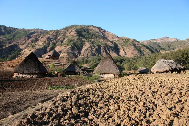 A Landscape with traditioal houses at the village of Moubisse in the south of East Timor in southeastasia