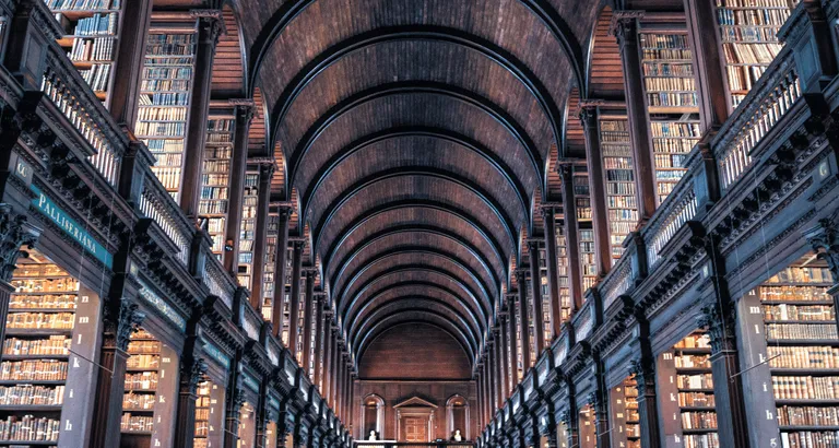 Library with enormous bookcases