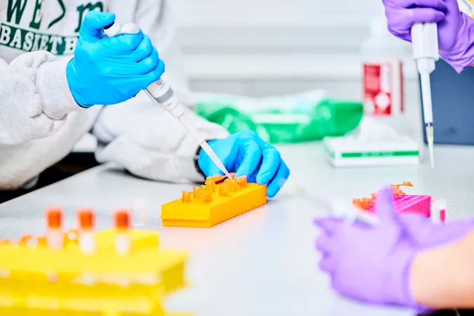 People using pipettes as they sit at the lab benches. Some wear purple or blue disposable gloves