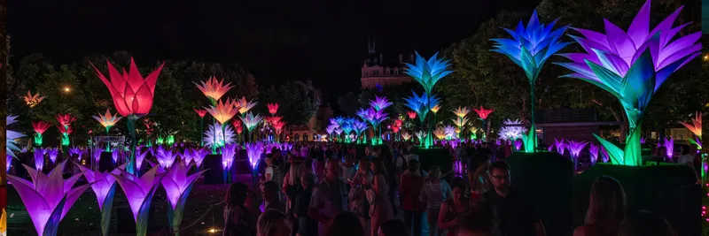Visitors looking at tall illuminated flowers as part of light festival, Lumiere