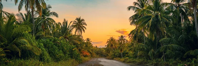 Tropical plants