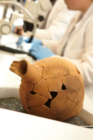 An artefact in a laboratory