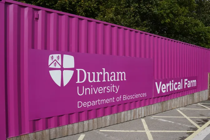 Plant growth vertical farm