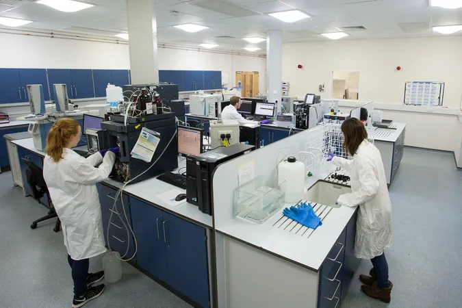 People at work in lab