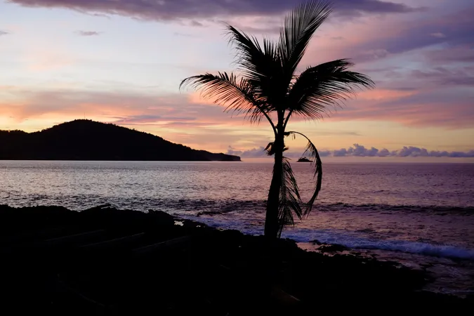Ocean View with Palm Tree