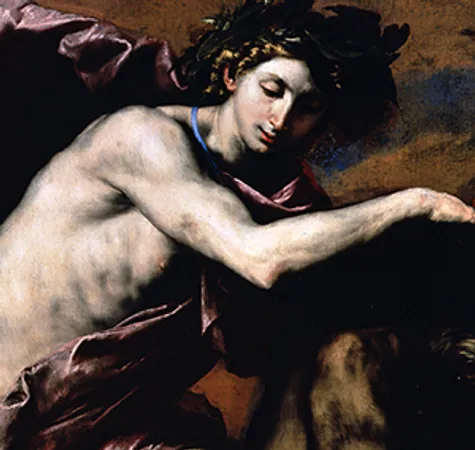 Ribera - Variant