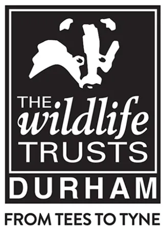 Durham Wildlife Trust Logo