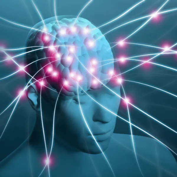A digital illustration of a brain and it's connections