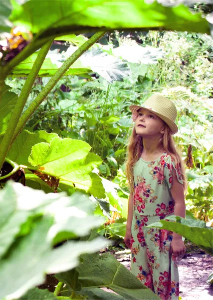 Young girl looks up at large plant at the botanic garden