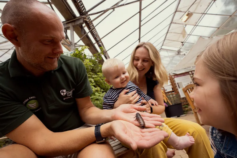 A Botanic Garden staff member showing a large bug to a group of people.