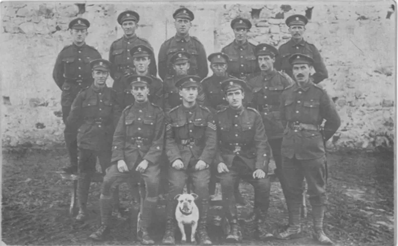 Black and white photograph of a group of 14 British soldiers from the First World War as well as a small dog, presumably a mascot. They are in three rows, the back two of which are standing and are made up of five and six soldiers respectively.  The furthest back row is stood on a bench. The front row of three soldiers is all sat down on a bench.