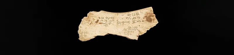 Photograph of a Shang Dynasty oracle bone – a piece of bone that has been inscribed with early Chinese characters, written in three groups on the surface of the bone.