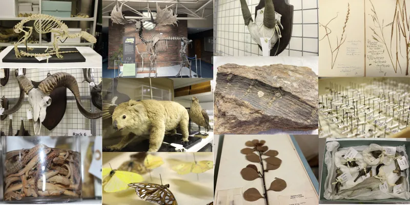 A selection of images from the Bioscience Collection