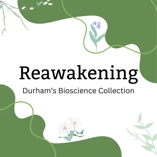 Reawakening Bioscience