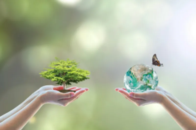 Hands holding a globe with a bird, and a tree