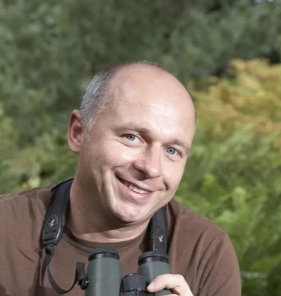 A headshot of Professor Stephen Willis
