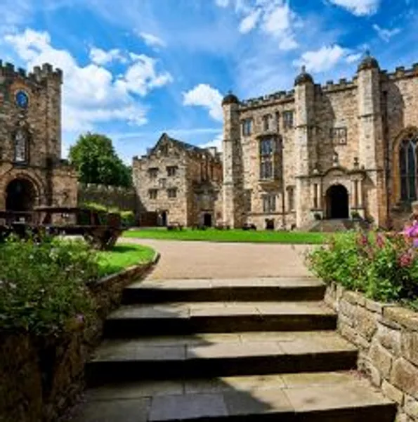 University College