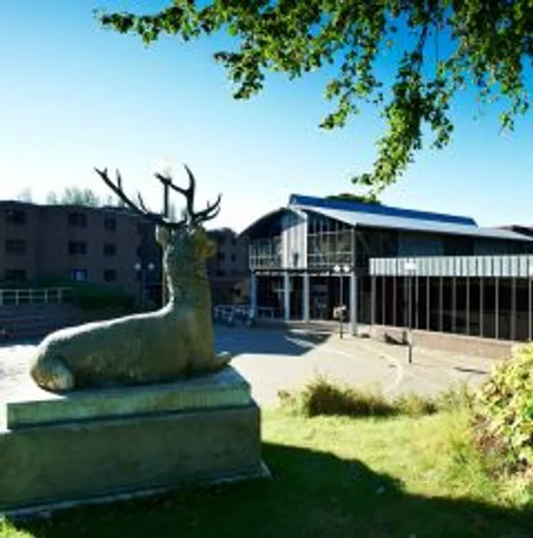 Collingwood College