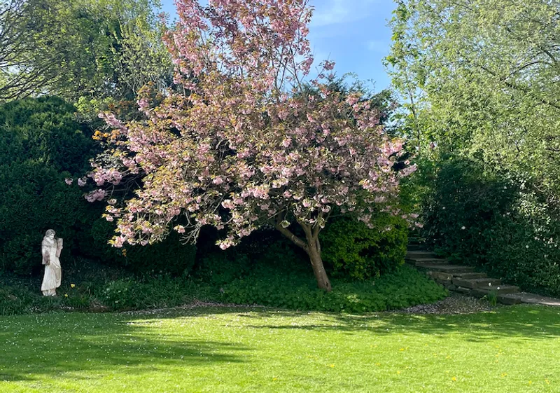 Cuth's Garden Tree
