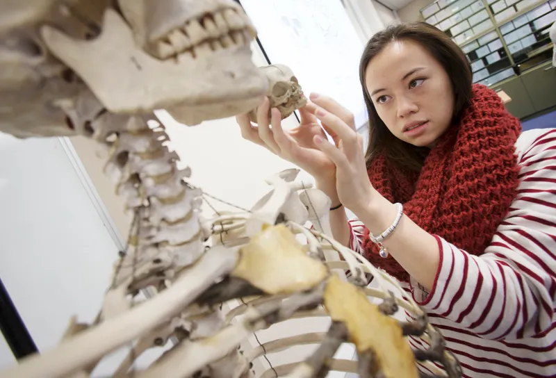 Student holding a small skull against a larger skull