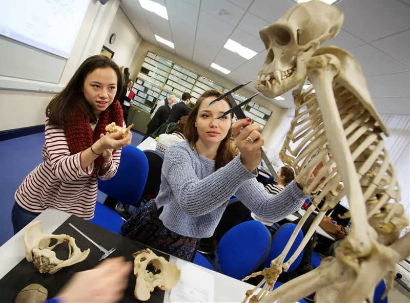 students examining a skeleton