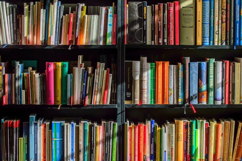 Generic library bookshelves by Pixabay: https://www.pexels.com/photo/books-in-black-wooden-book-shelf-159711/