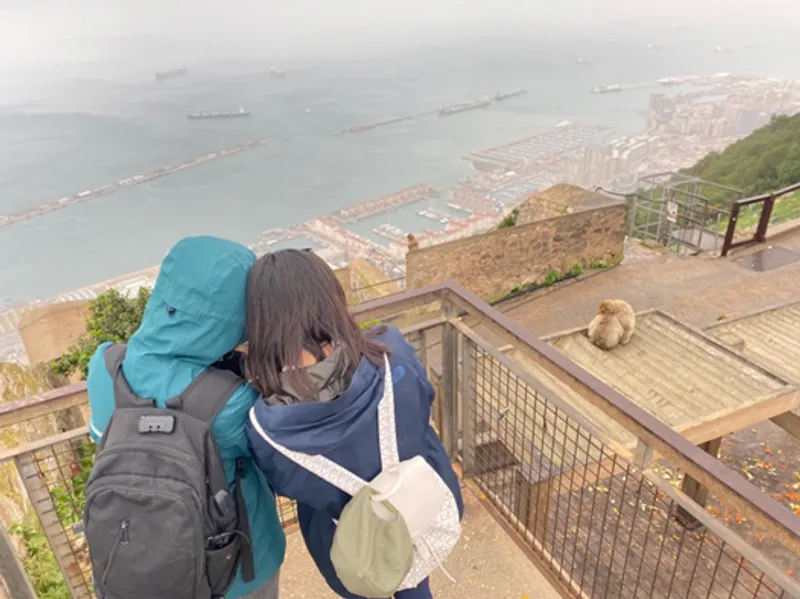 2 students observing macaques in Gibraltar
