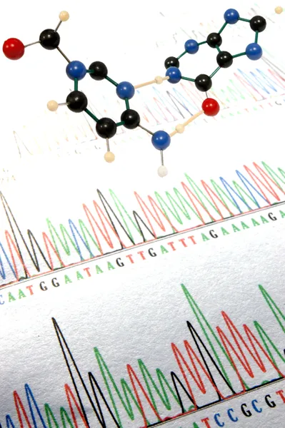 DNA Sequencing print-out