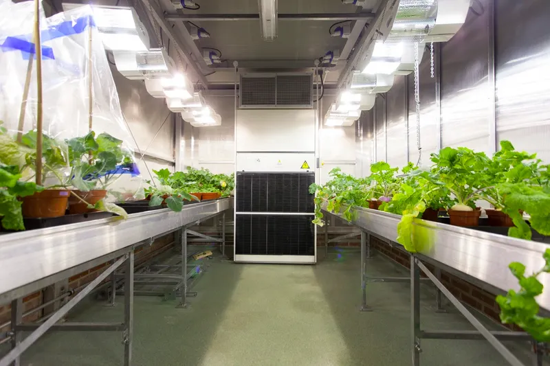Greenhouse designed for growing GM crops