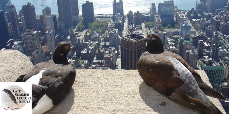 Two pigeons sit on a skyscraper looking out over New York city