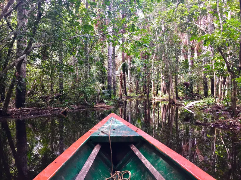 Boat trip in the Rainforest - Peruvian Amazon