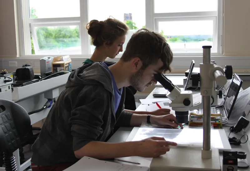 Students in labs peering into microscope