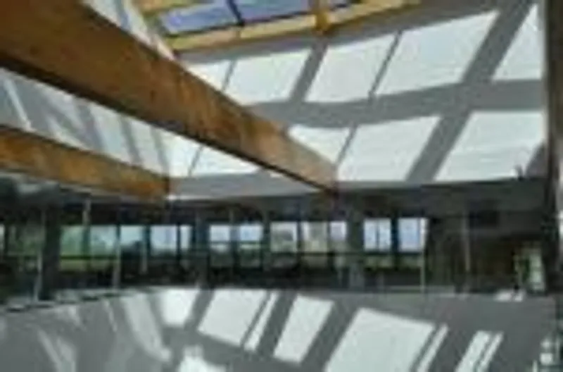 Palatine Building - roof