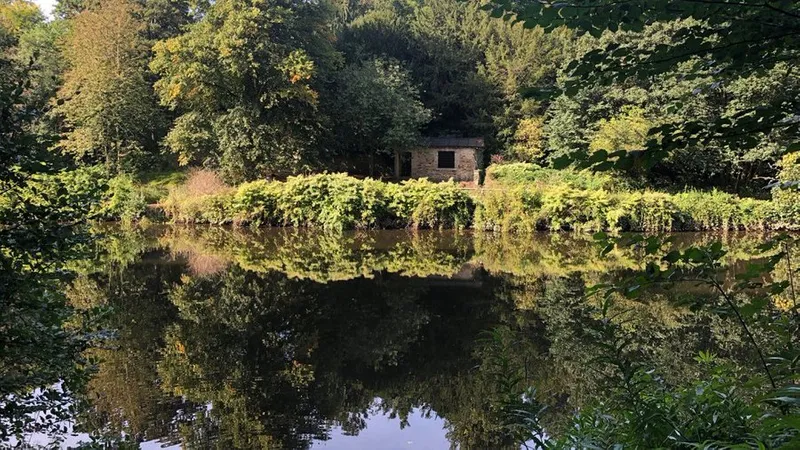 A picture of the river in 鶹ý