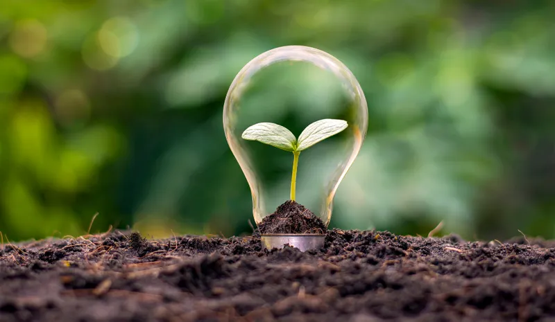 A seedling growing inside a clear light bulb planted in deep brown soil with blurred foliage in the background