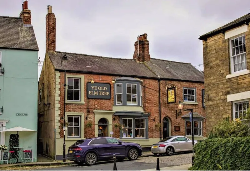 Picture of Ye Old Elm Tree pub in Durham