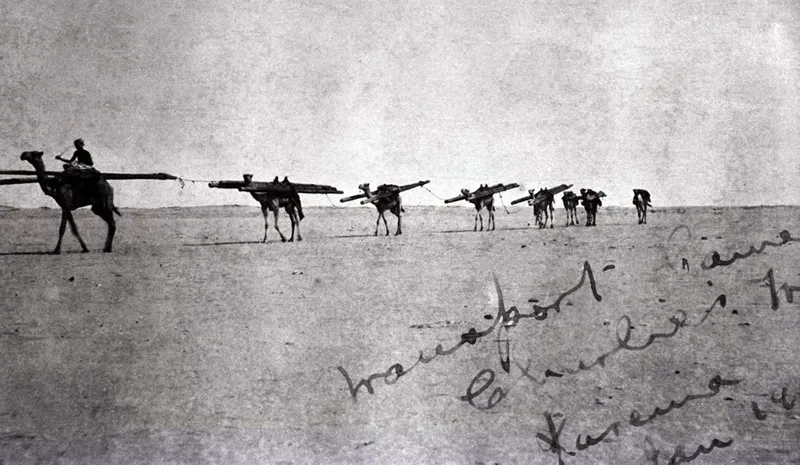 Image of camels and a driver transporting telegraph poles across an empty desert in Sudan, 1915