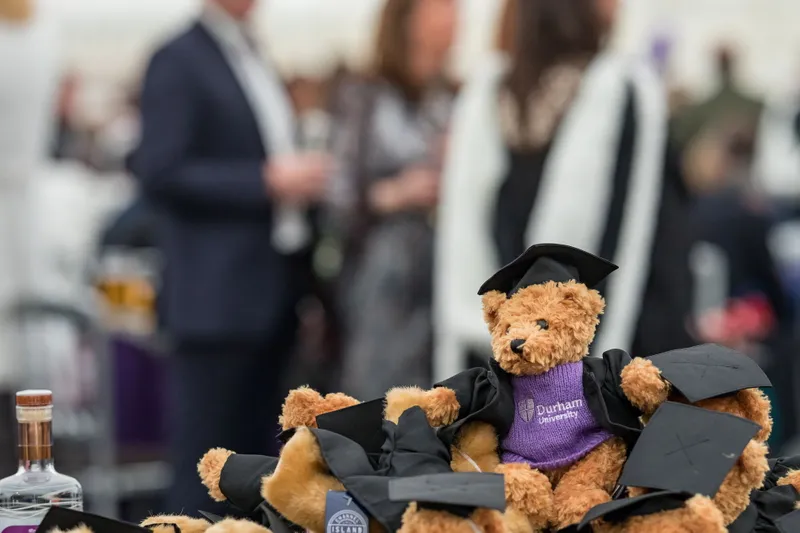 Brown fluffy teddy with mortar board and Durham University jumper on