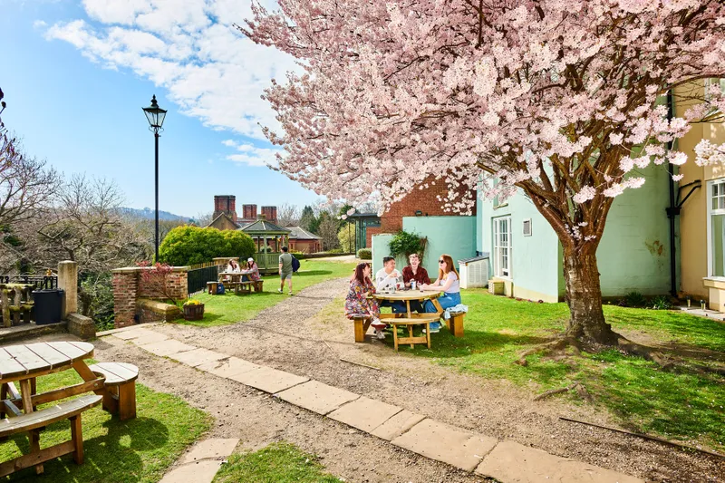 Groups of students sit outside at wooden tables. They are chatting and laughing, and it's a sunny day, with the surrounding trees covered in pink blossom