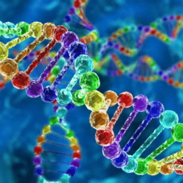 Colourful illustration of genetic coding